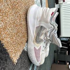 NIKE バッシュ 26.0の画像