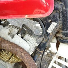 ヤマハポッケ 目立ち度間違いなし！の画像