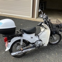 HONDAカブ110プロの画像