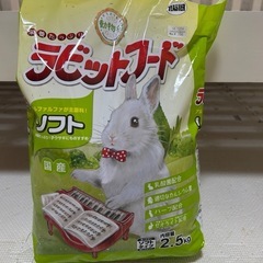最終価格♫今月までです！うさぎグッズの画像