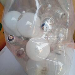 電球の画像