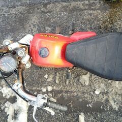 ヤマハポッケ 目立ち度間違いなし！の画像