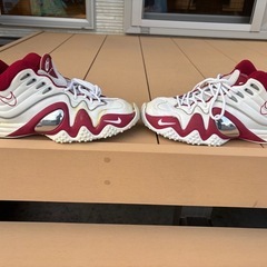 NIKE Air zoom flyの画像