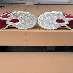 NIKE Air zoom flyの画像
