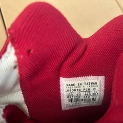 NIKE Air zoom flyの画像
