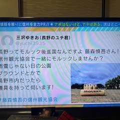 長野でモルックしましょう！ - スポーツ
