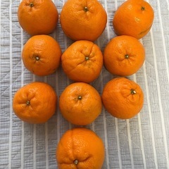 ぼんたん