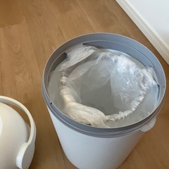 ピジョン ステール シルクホワイトの画像