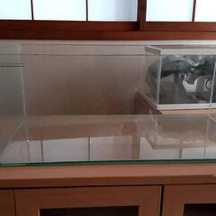 引き取り限定】水槽6個＋水槽台＋ライト等……全てセットでお願いします (JI) 大和田のその他の中古あげます・譲ります｜ジモティーで不用品の処分