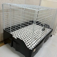 最終価格です♪今月中まで！ケージの画像
