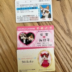 カードセット  未使用の画像