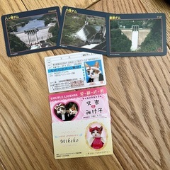 カードセット  未使用
