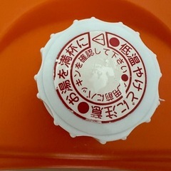 2.5ℓ湯たんぽ　ジスマーク入り　　　の画像