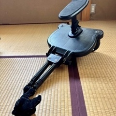 ベビーカー　ステップ　バギー　2人乗り