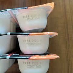 レトルトごはん120g×22個&レトルトカレー１つ付の画像