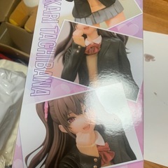 ＊2.5次元リサリサフィギュア＊の画像