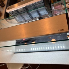 40cm水槽セット熱帯魚等の画像