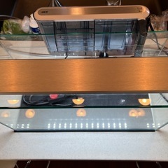 40cm水槽セット熱帯魚等