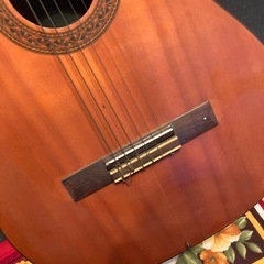 takeharu ギター g-85の画像