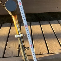 キックボード　子供の画像