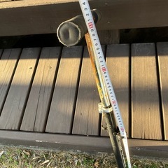 キックボード　子供の画像