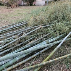 竹、木、草の処分🪵お任せ下さい！ - 長生郡
