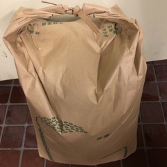 受け渡し決定しました。2月10日１４時３０分引き渡し限定　令和6年度ヒノヒカリ玄米３０キロ