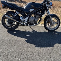 スズキバンディット250