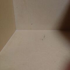 ランドセルラックの画像