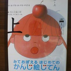 みておぼえる　はじめてのかんじ絵じてん