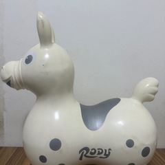 RODY ロディ　限定カラー　の画像