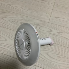 ドウシシャ　サーキュライト 2個目
