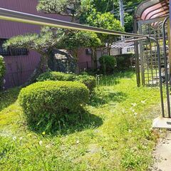 庭木の剪定・草刈りお願いします
