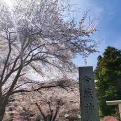 【ゆるハイキング】【初心者向け】4月19日（土）武蔵五日市・今熊山！ミツバツツジを見に行こう！ - あきる野市