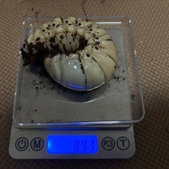 2月11日受渡し済み/外国産クワカブ幼虫まとめ売りの画像