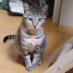 ずっとのお家募集しています。