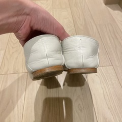 アダムエロペ　の画像