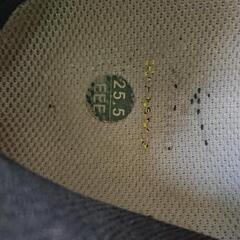 バック、シューズの画像