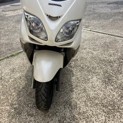 エンジン始動動画あり在庫多数投稿してます　堺市堺区フォルツァMF08  の画像