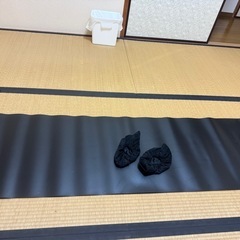 屋内スピードスケートトレーニングとフィットネス機器、脚痩せエクサ...