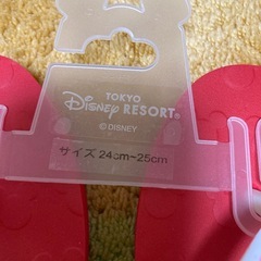 ディズニーリゾートビーサン　大人サイズの画像