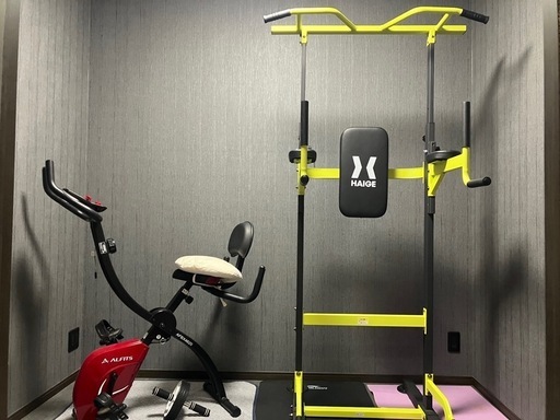 懸垂機　HAIGE プラップバー　HG-P1001