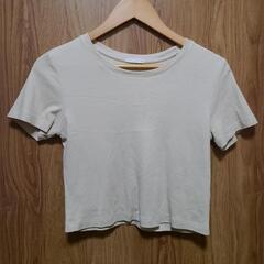 クリーム色　クロップドTシャツ　半袖