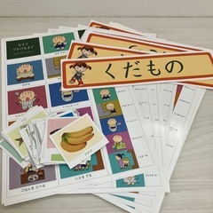 星みつる式 家庭療育DVD 18巻セットの画像