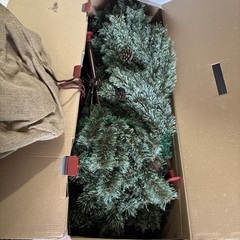クリスマスツリー