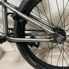 wethepeople NOVA　の画像