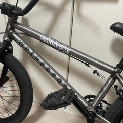 wethepeople NOVA　の画像