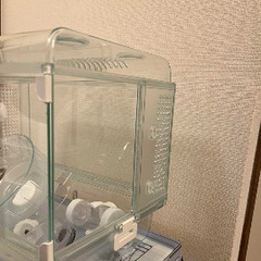 GEXGlass Harmony 360 Plus グラスハーモニー360プラスの画像
