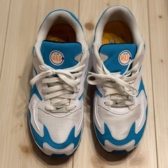 エアマックス2ライト/ブルーラグーン/A01741-100の画像