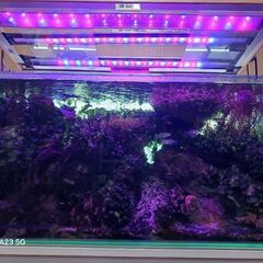 ｢お得3器Set｣90cm水槽用LEDの画像